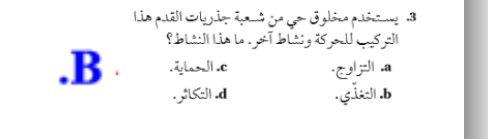 الأميبا كائن حي وحيد الخلية ُ يشبه نقطة الدهان، حجمها صغير جدا، قدر مساحة الأميبا في الشكل أدناه إذا كان كل مربع يمثل ملمتر