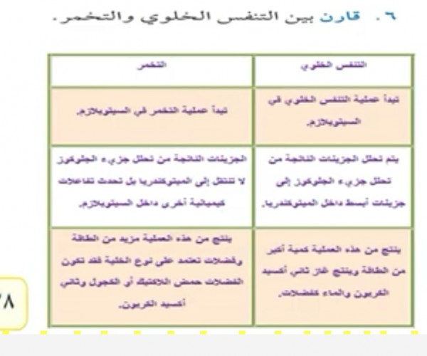 التنفس في الخلوي عملية تبدأ التنفس الخلوي: