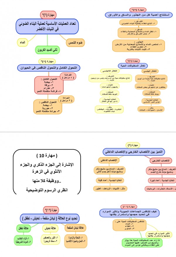 علوم رابع ابتدائي الفصل الاول