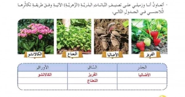 رسالة ماجستير في النباتات تصنيف